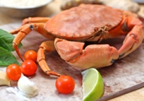 Stone Crab