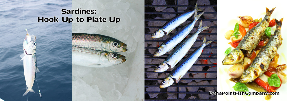 https://www.danapointfishcompany.com/wp-content/uploads/2015/02/sardines-hook-up-to-plate-up.jpg